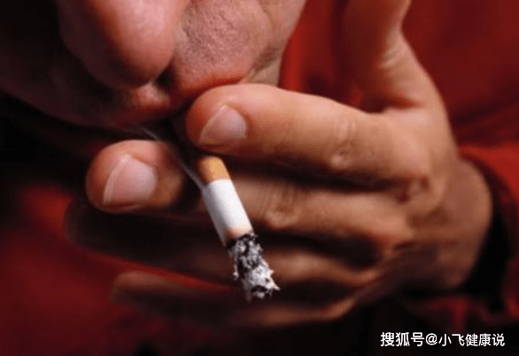 男人吃什么最补有营养 6078e73a50f34bd18d2749e6f5246f39.png