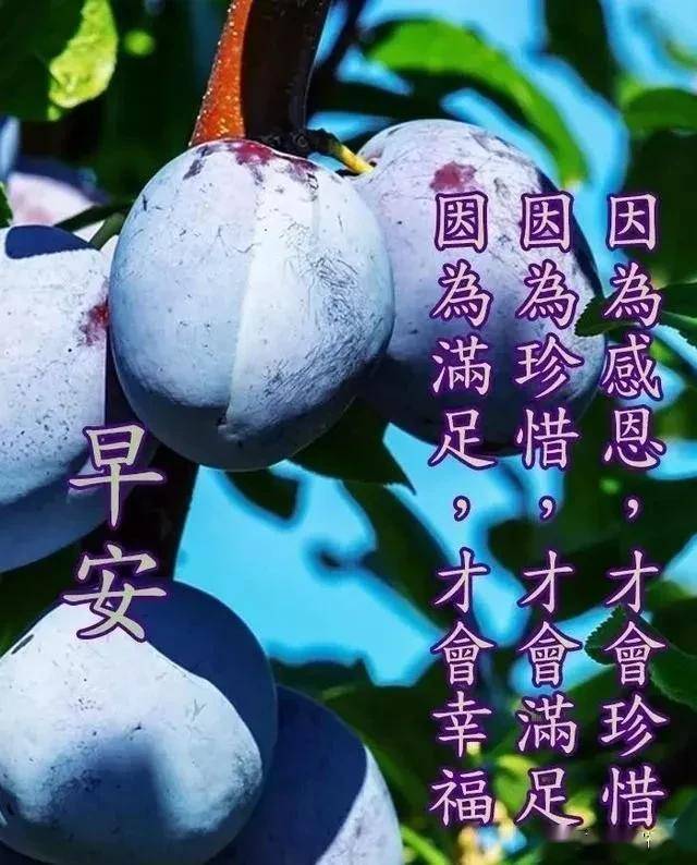 原创8张最新春天有创意的早安问好图片带字祝福语微信群发暖心的祝福