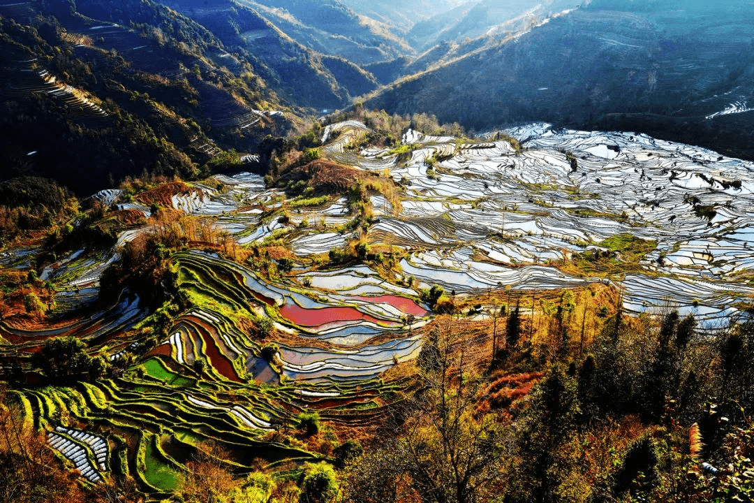 中国最大的梯田图片