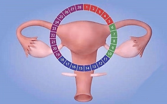 f0ad4920c4cc4097babc1ee96d7f6fd8.png