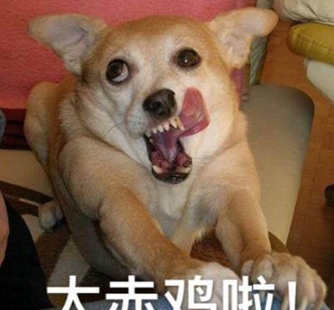f1d3d296f75f4246a708ead5a1536d5b.jpeg
