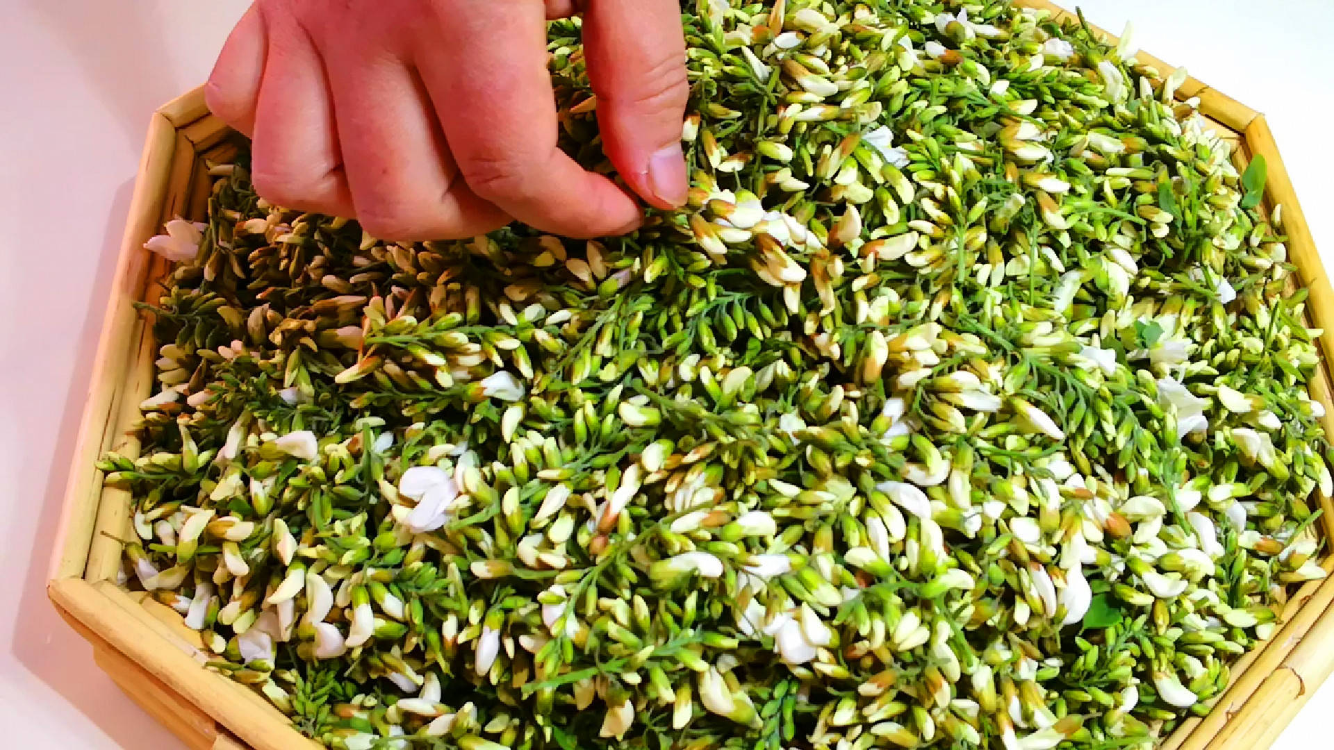 原创五月吃槐花分清紫色和白色口感差别大弄懂再