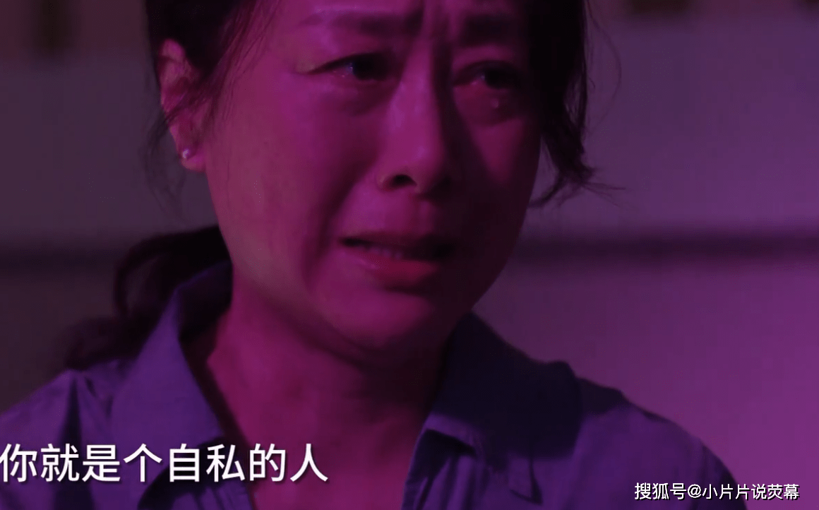 小舍得:顶级绿茶南建龙,结局反而很圆满_蔡菊英