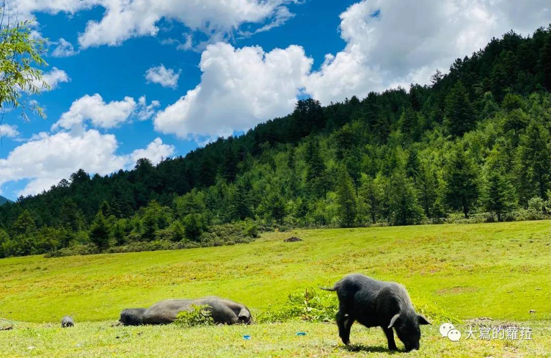 ���������ɺ����ǲ��ܹ���