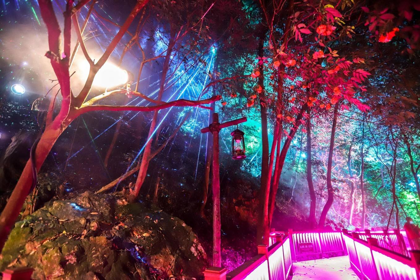 原创五一旅行好去处世界过山瑶之乡体验森林夜游灯光秀