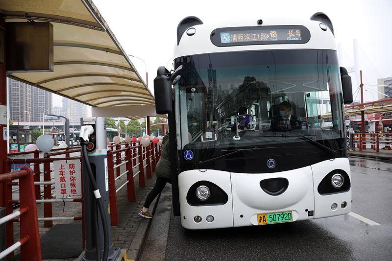 上海熊猫公交车上路运营黄浦徐汇滨江又添风景线