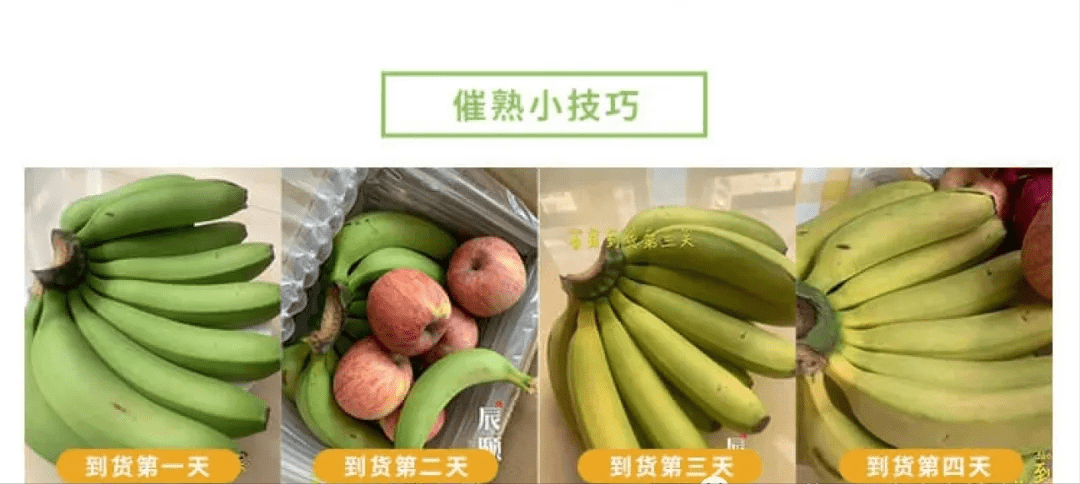 辰颐物语:云南威尼斯绿皮香蕉回归啦_催熟