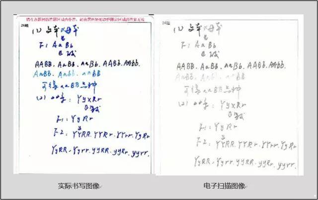 高考中什么字体更抓分? 怎样答题易扣分