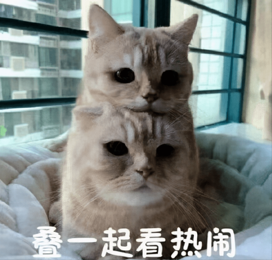 人类的本质就是凑热闹,你能猜到他们看向的方向其实在吵架吗?