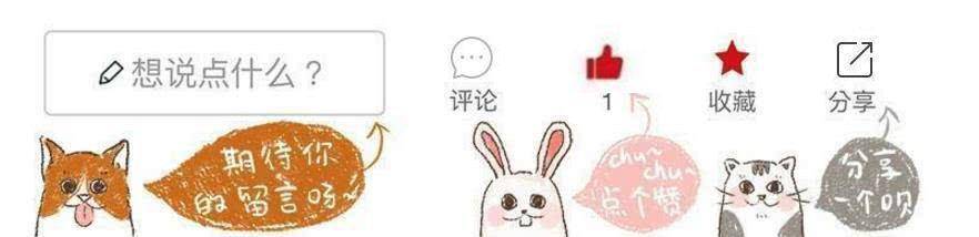 什么|狸花猫在书架上做了个窝，主人回家看到猫咪的新窝后，气到发抖