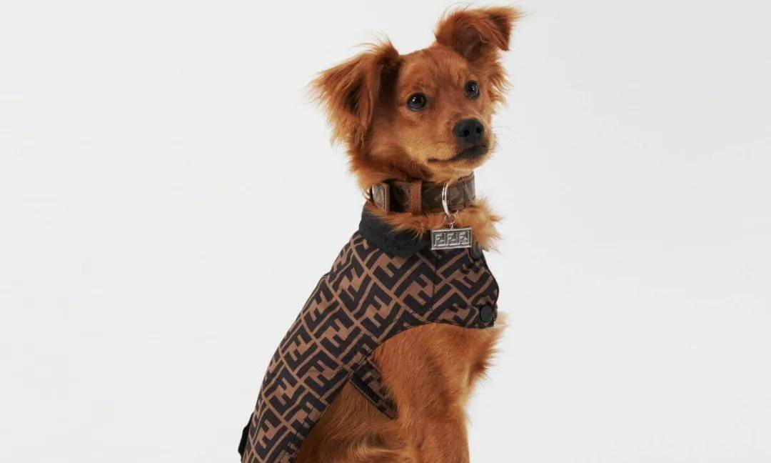 资讯比手机还贵爱马仕clot纷纷推出苹果手机壳