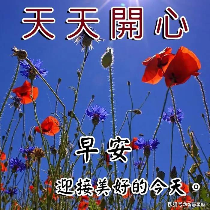 原創8張創意好看的春日早安早上好圖片帶祝福語