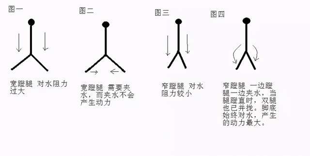 蛙泳蹬腿的学问