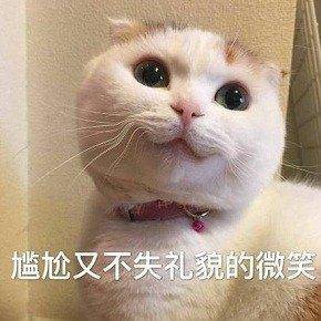 各种各样的人间真实表情包 50010888e4ab4625919981c2415f8d71.jpeg