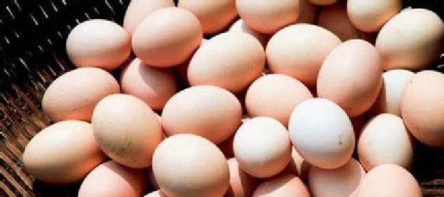 孕妇多次梦见鸡蛋，寓意与解读