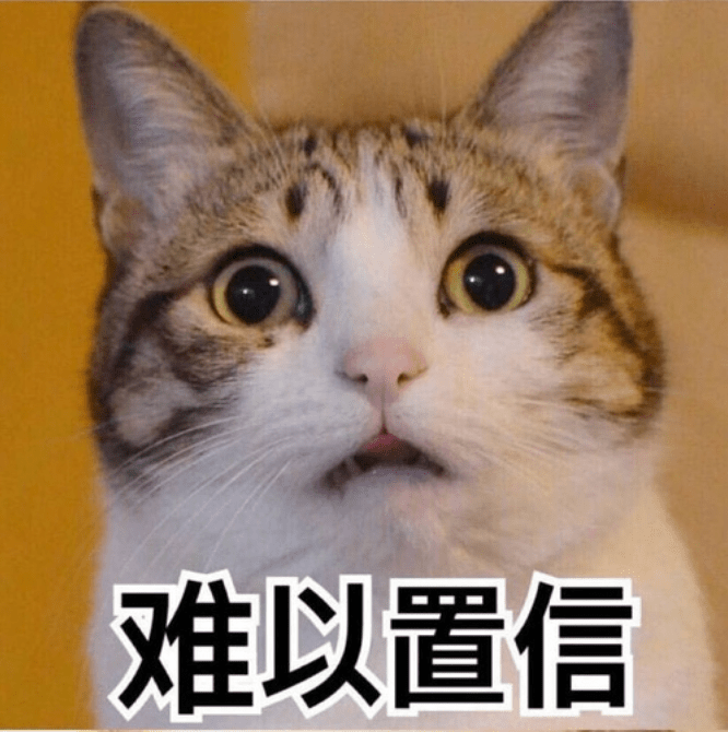 猫咪|劝告：永远不要养的3种猫VS最适合家养的3种猫