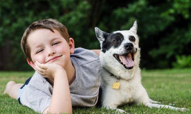 狗为啥喜欢小孩子 624989e832c244bd9655257b08bdddfa.jpeg