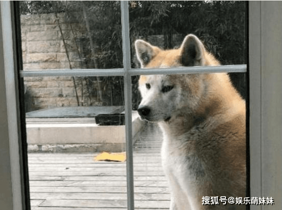 c7f4dd8d09584940b1862513f622ae2f.png