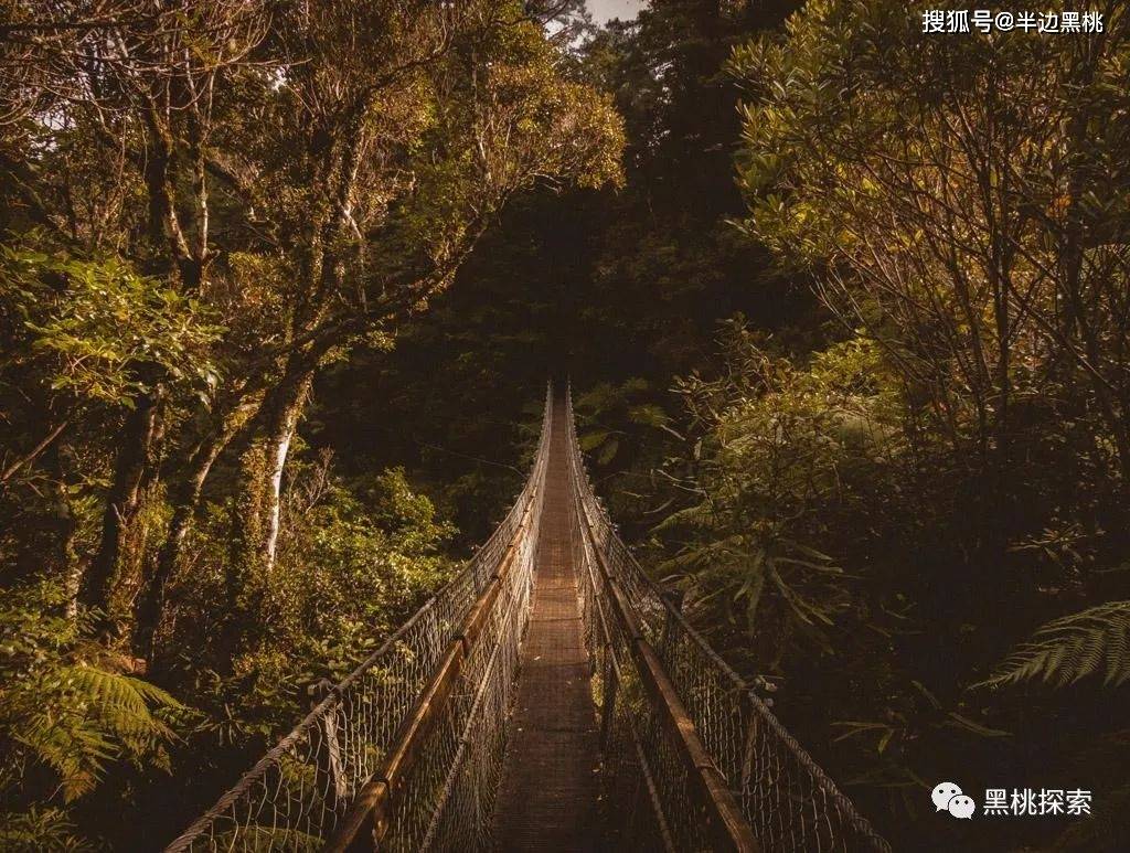 如何追求喜欢的她他吊桥效应助你一臂之力这就是知识的力量