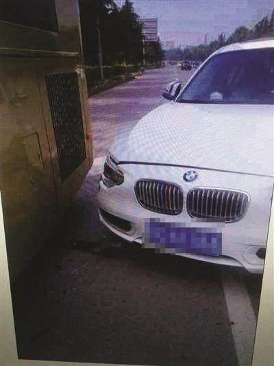 哈士奇走丟後，寶馬女司機特意送狗回家，可原來狗就是她偷走的！ 萌趣萌寵 第3张