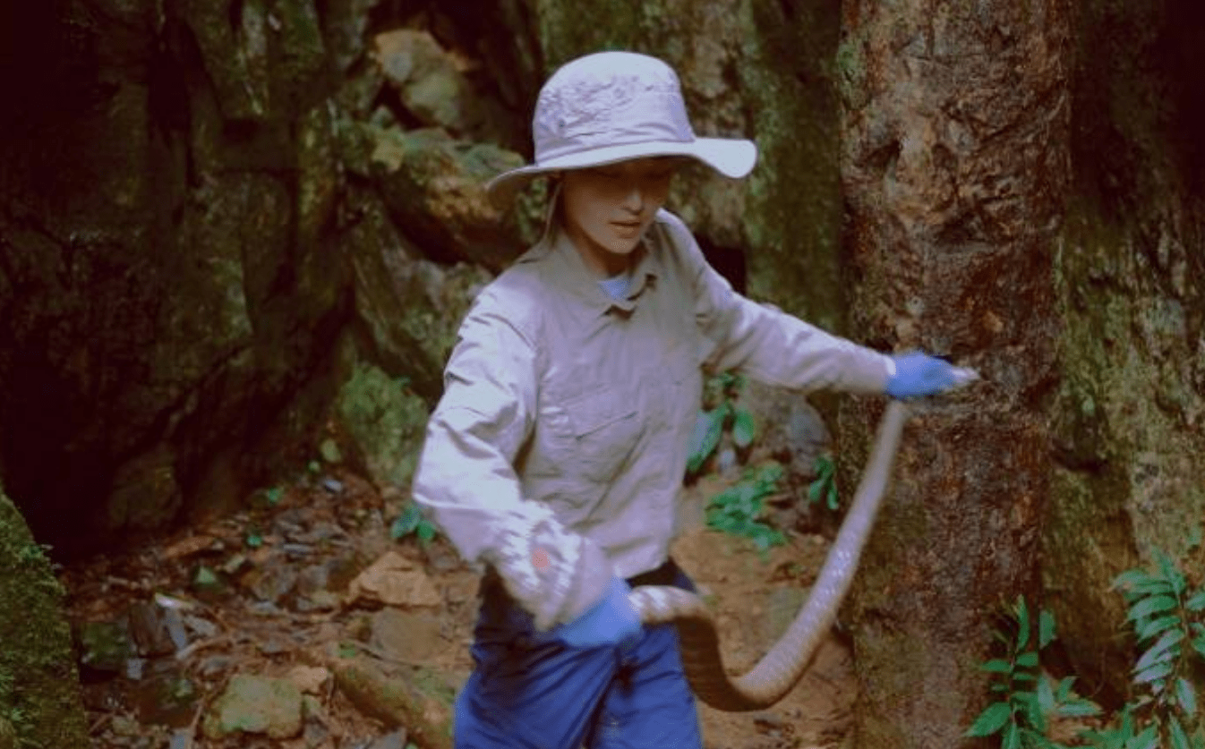 原创不愧是军嫂张馨予穿一身户外装备美得帅气徒手抓蛇太生猛