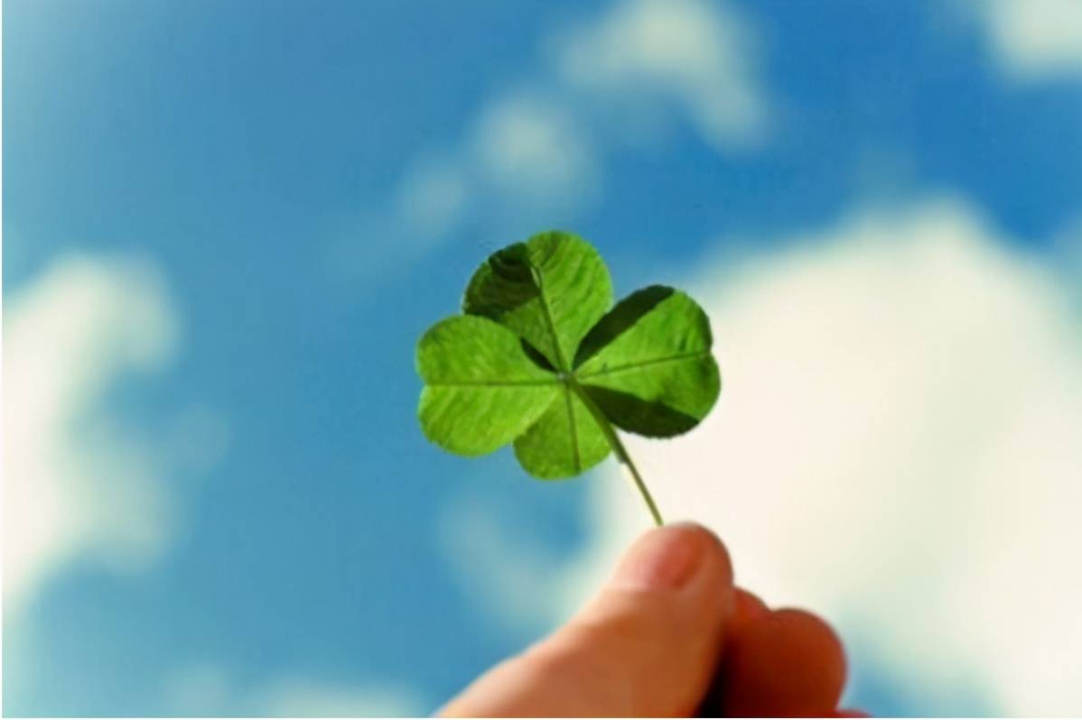 今日立夏丨当成人礼遇上成物礼