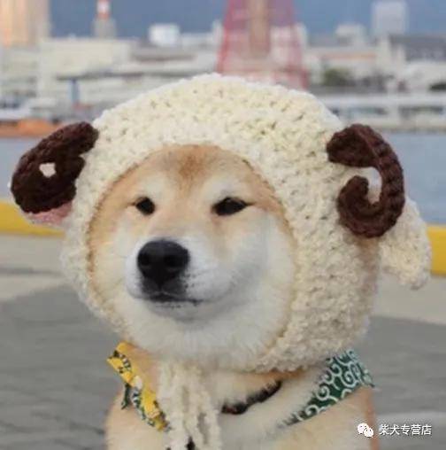 5fa3abe7b6004acda50acbe00b7969df.jpeg