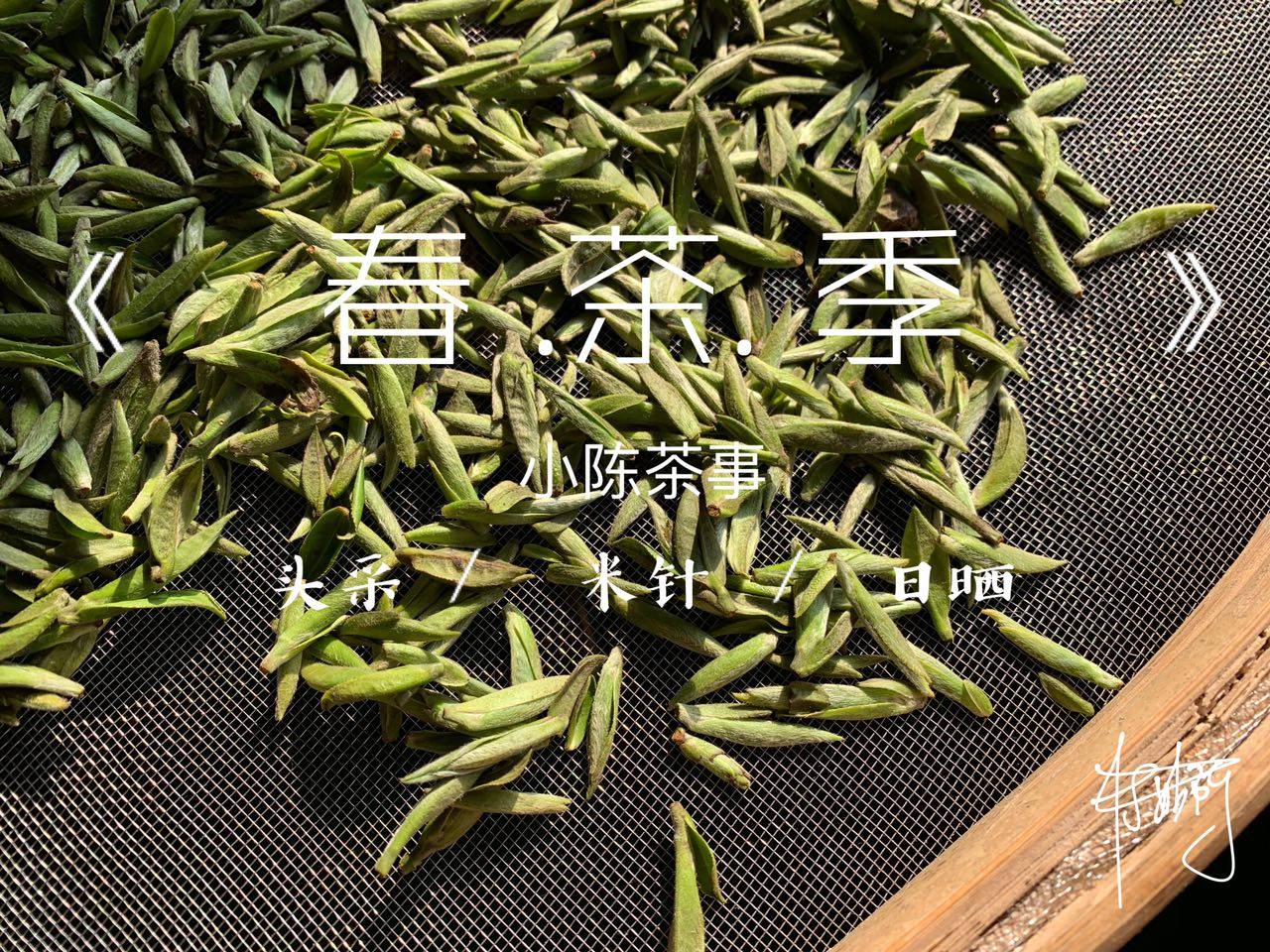 物质|新白茶苦涩，老白茶甘醇？别把苦味和年份挂钩，里面藏着4个真相