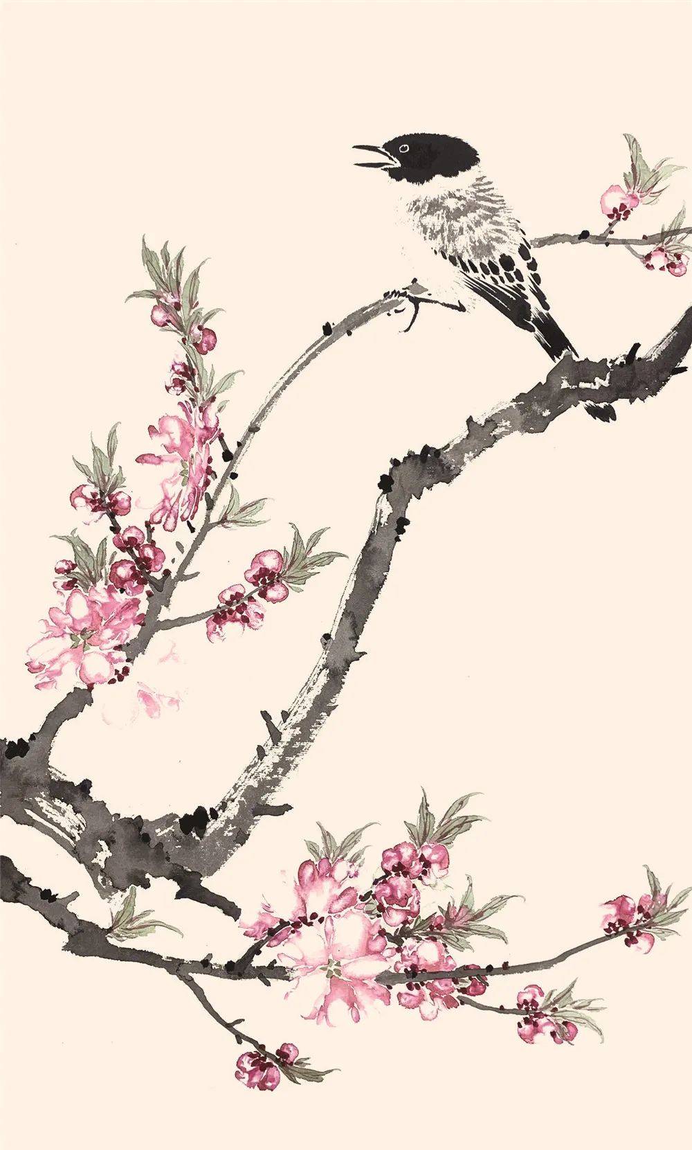 周午生花卉没骨的学习下