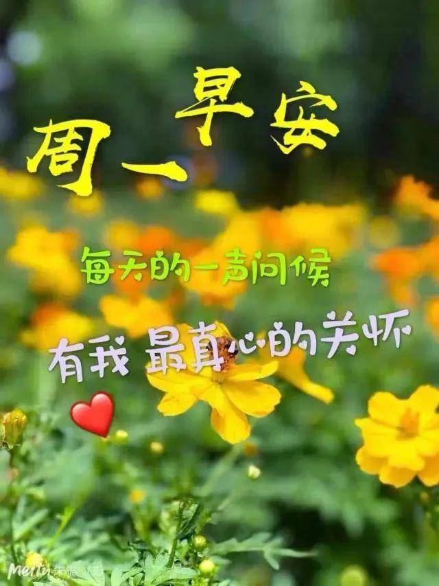 原創6張非常有創意好看的朋友早上好免打字圖片帶祝福語