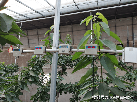 智能温室种植和普通种植的区别_监测