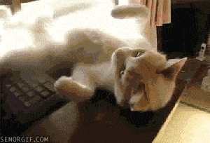 b899d58b9c98492aa8f238d6841c82f6.gif