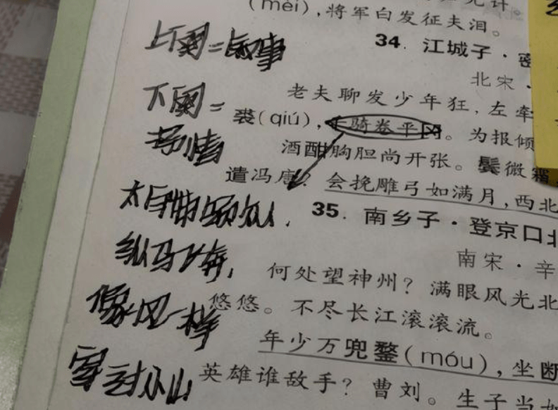 四字成语直什么什么臆(2)