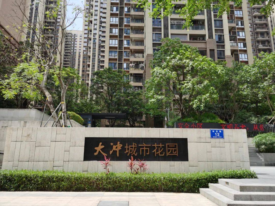 上世纪90年代,时值农村城市化改造,位于高新技术产业园东部的大冲村