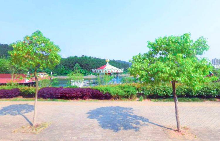 中国柳编之乡基本县情