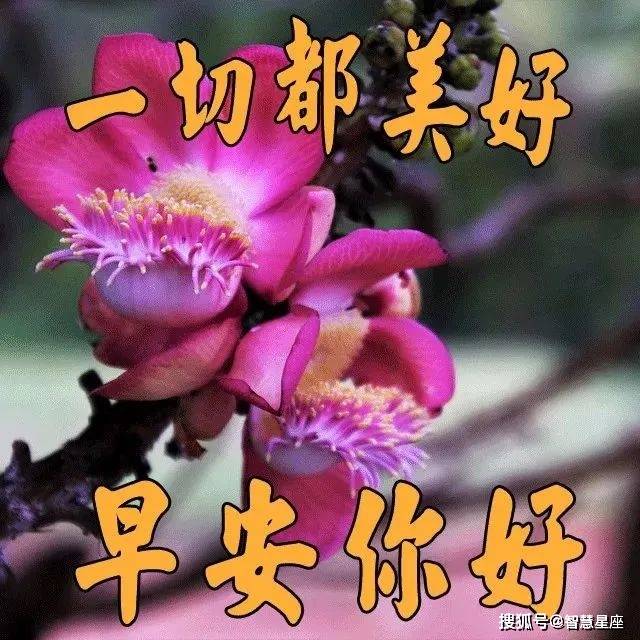 e6b2033a6d8e4aeda801f6bd53db207d.jpeg