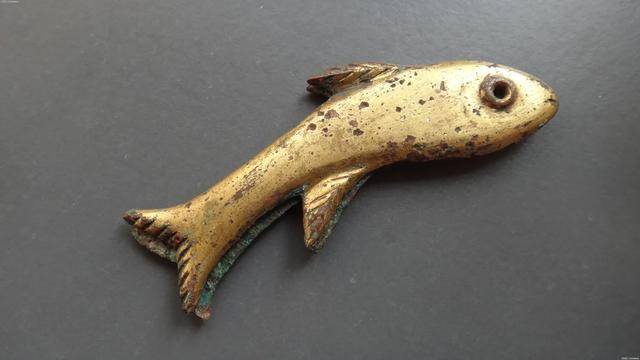 它是一种象征,一种地位_金鱼