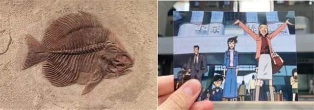 因果|认识人和鱼的AI,能识别美人鱼吗?阿里CVPR论文试用因果推理方法解答