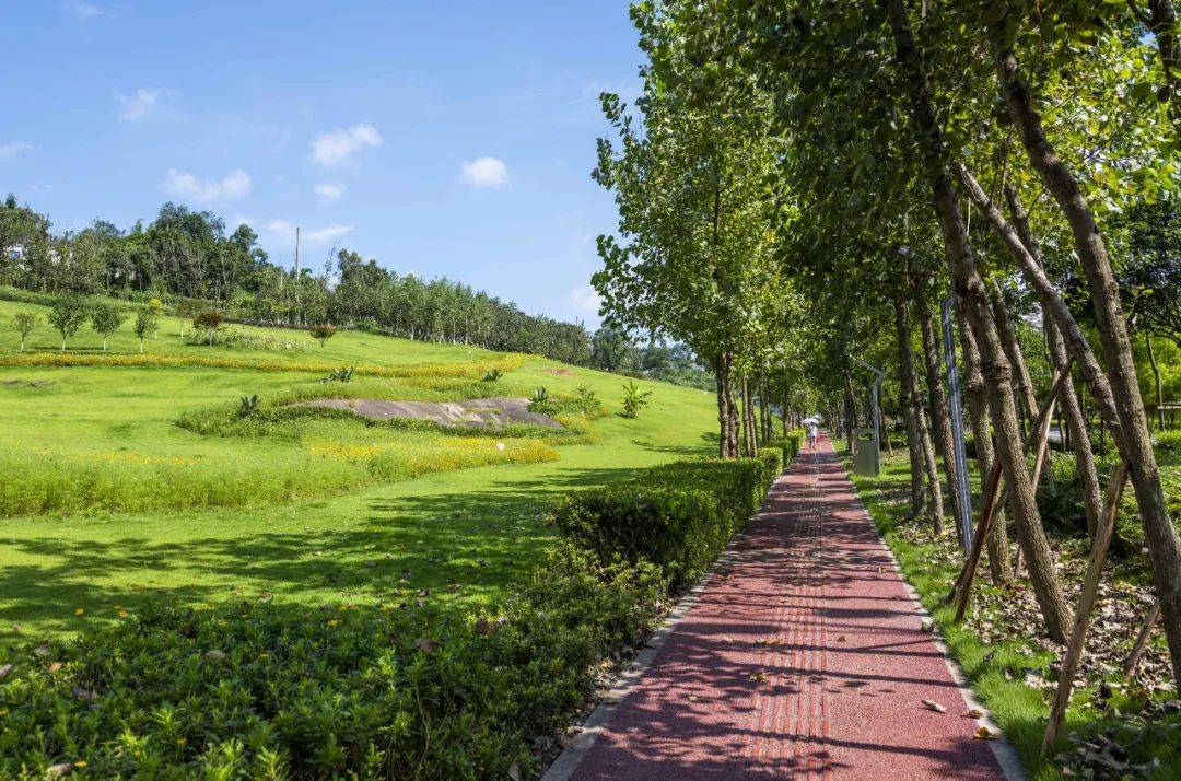 新晋网红渝北航空小镇