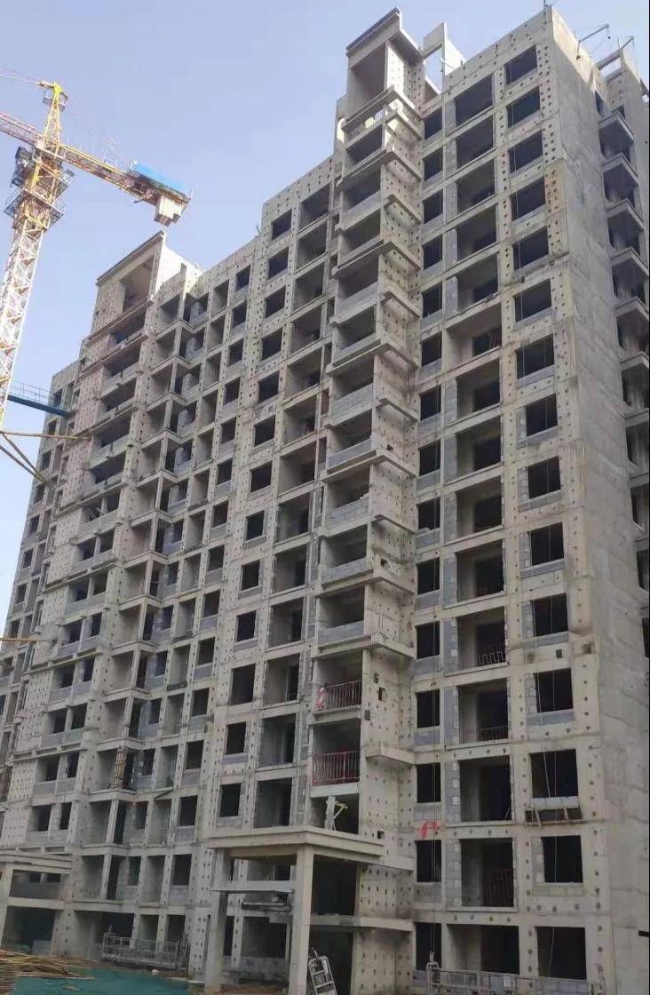 时光不负匠心倾注建业森林半岛上院最新工程进度