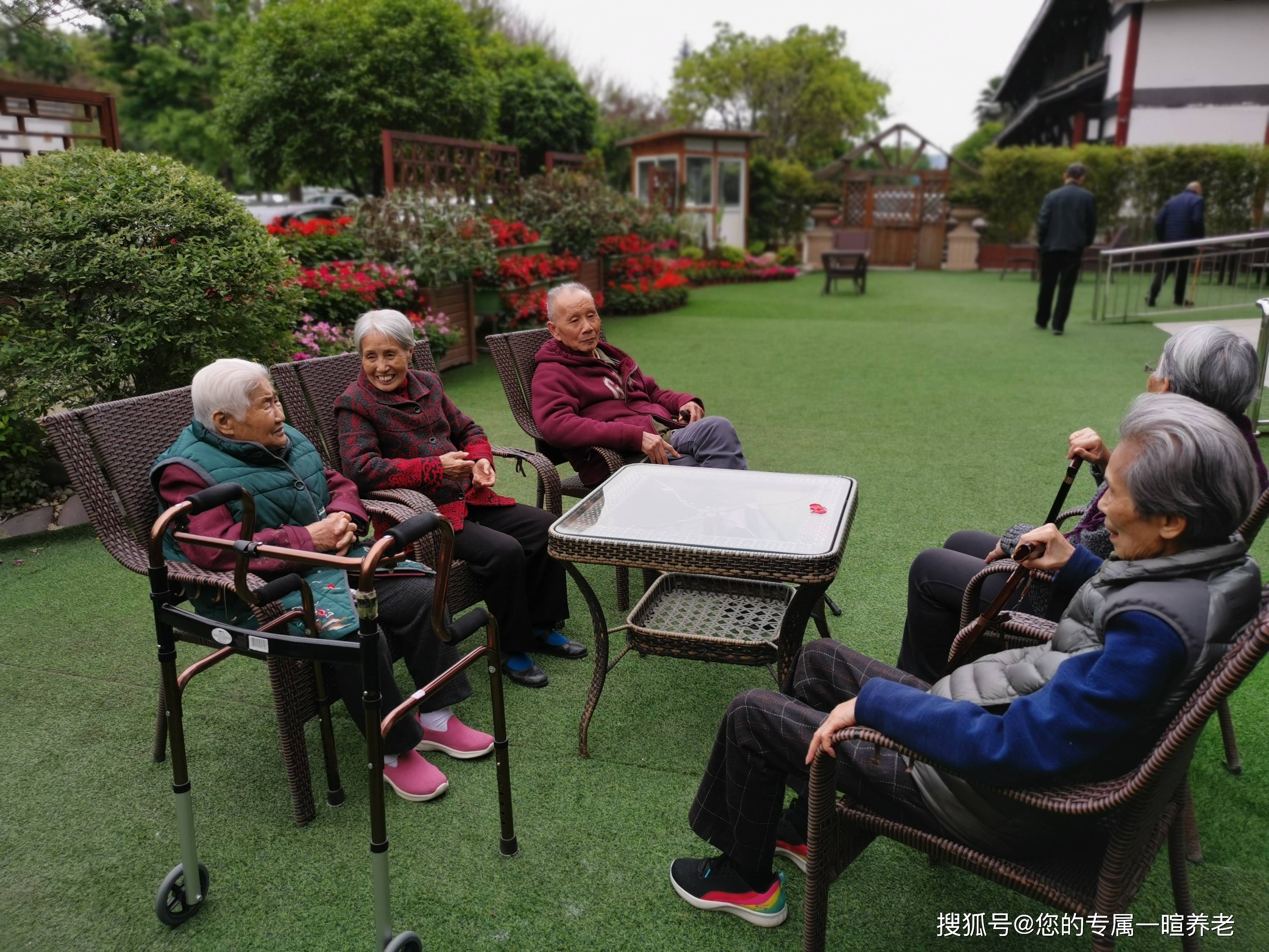 解读七普数据,农村养老出路何在_乡村