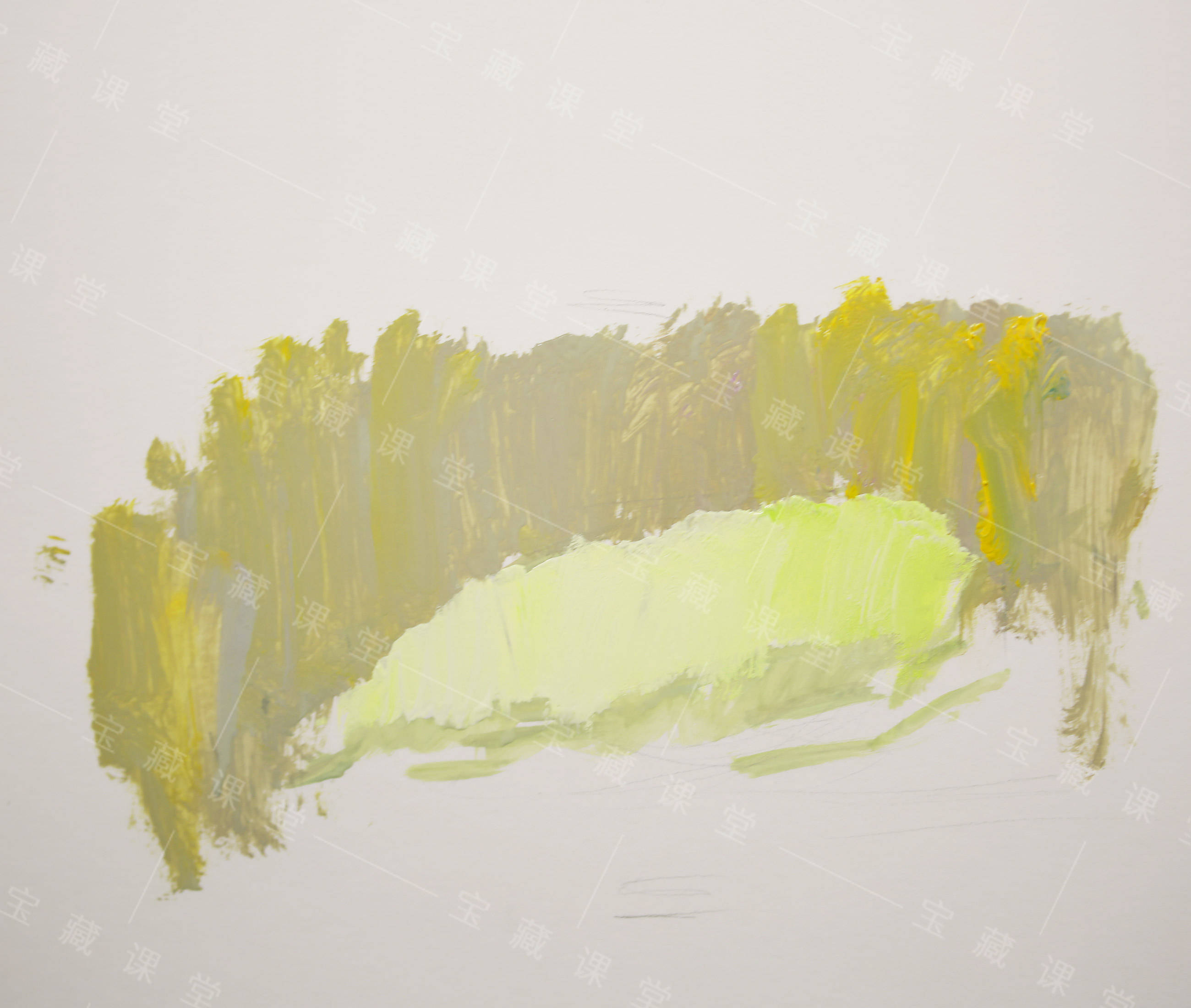 色彩静物单体白萝卜课程训练分享附视频宝藏美术网校