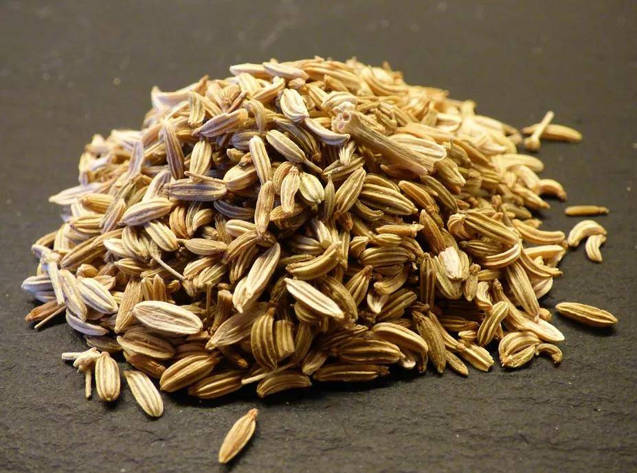 小茴香,大补肾!这才是茴香本香