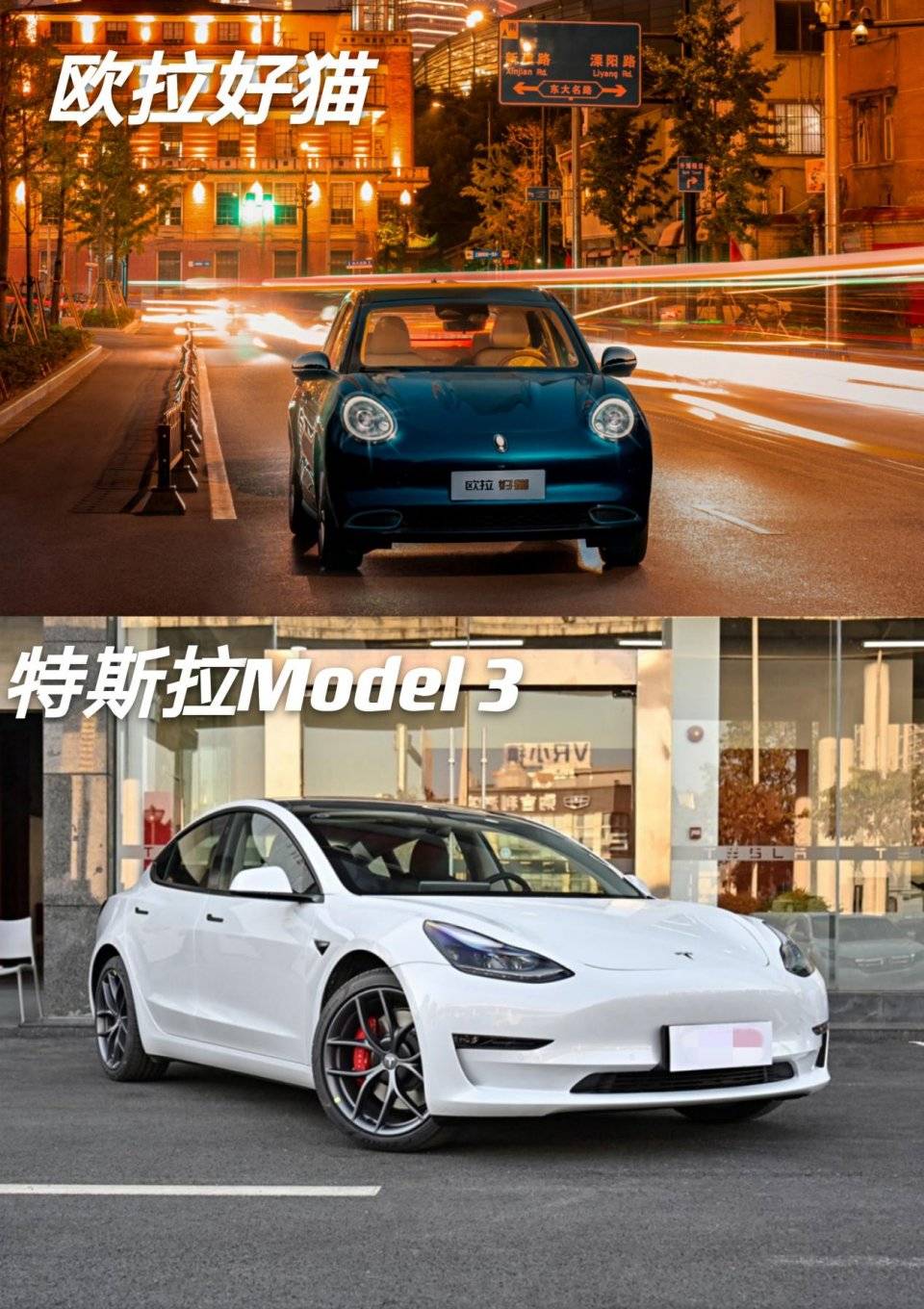 新能源之争 欧拉好猫、Model 3强强对决_搜狐汽车_搜狐网