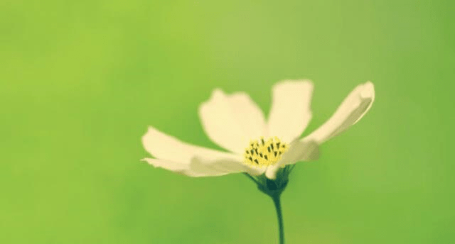 dd6437175b76418e819ab4cb3b7aabd4.png