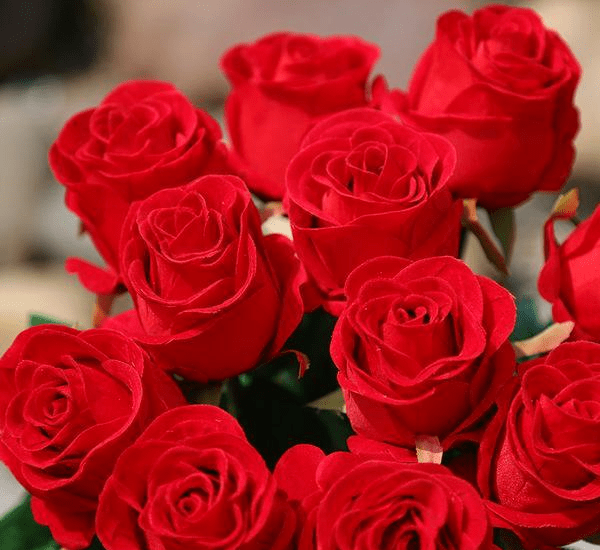 5月3日起 喜从天降 事业一飞冲天的三大生肖 发横财中大奖 好运