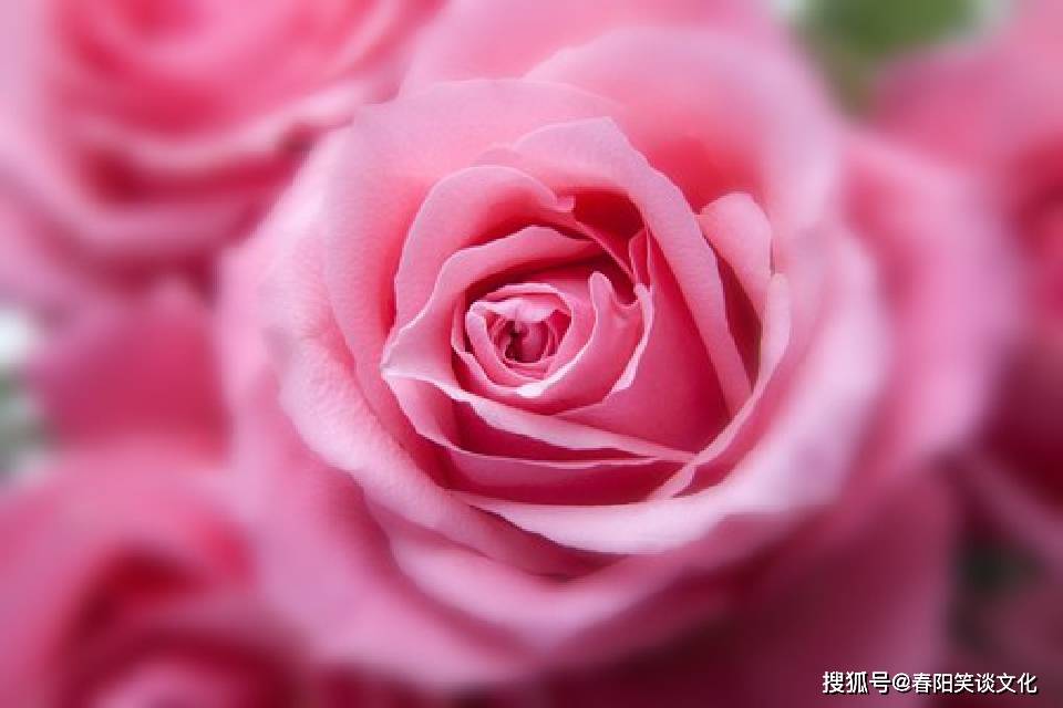 908b6bbb22694178ad8c0bda1ba282ed.jpeg