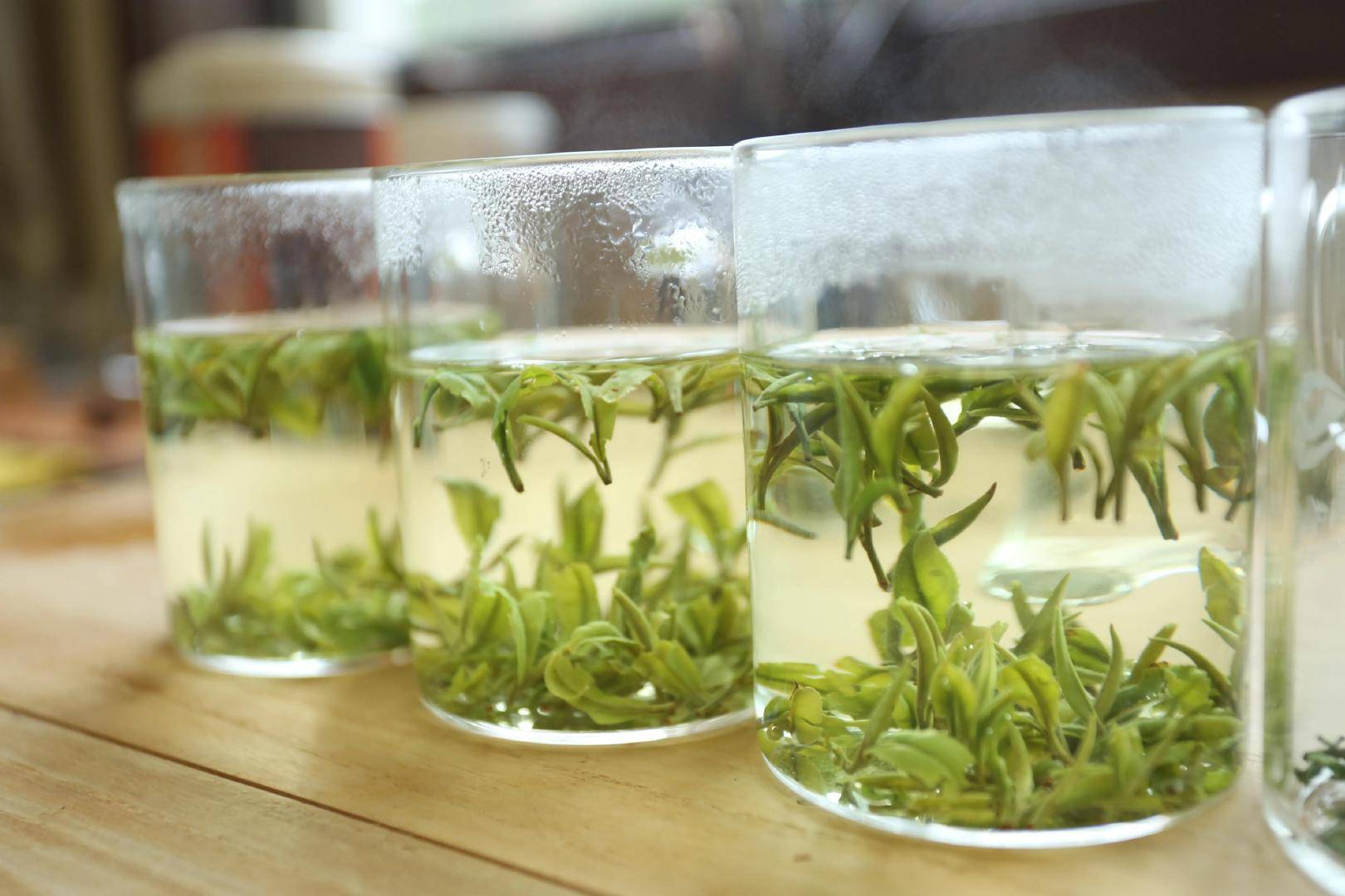 探访北纬33度的奇迹 遇见陕茶遇见你 走进秦岭最美县城商南