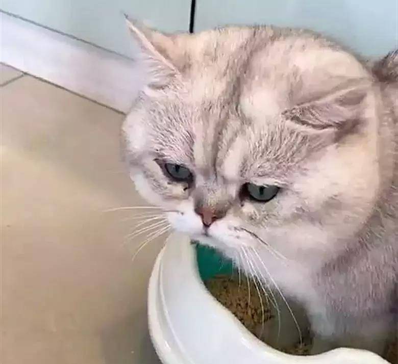 429ebafc4b1d4b52b4b87f58796efd81.jpeg