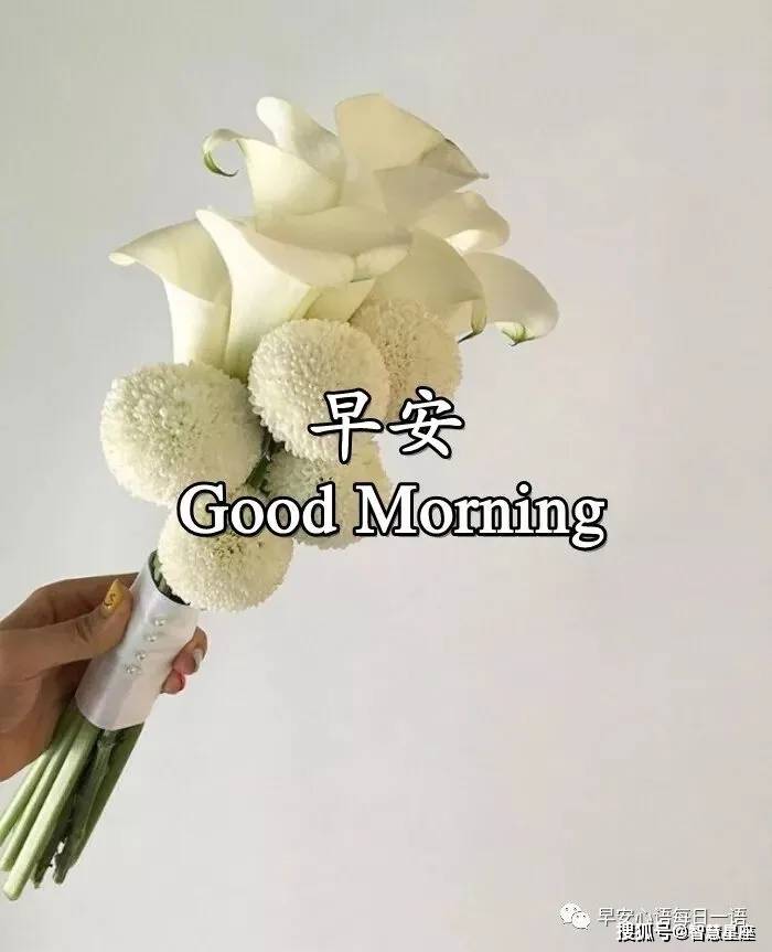 原创5月17日特别好看的微信朋友圈早上好心情感悟新版早上好祝福语